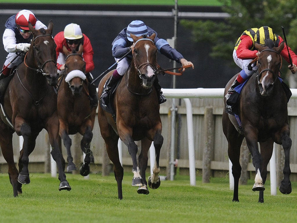 Giofra (blue stripes) surges to victory in the Falmouth yesterday