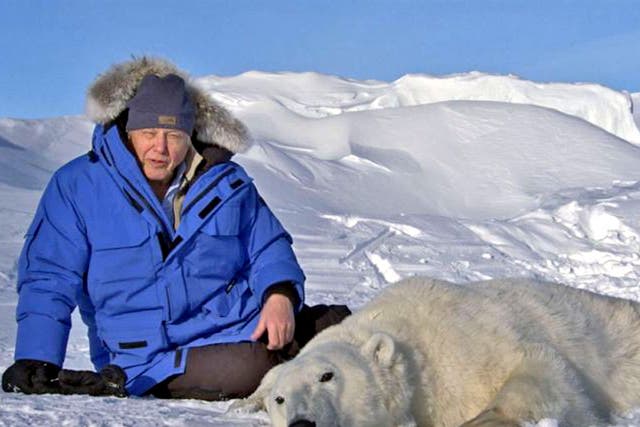 Sir David in the BBC ‘s critically acclaimed Frozen Planet series