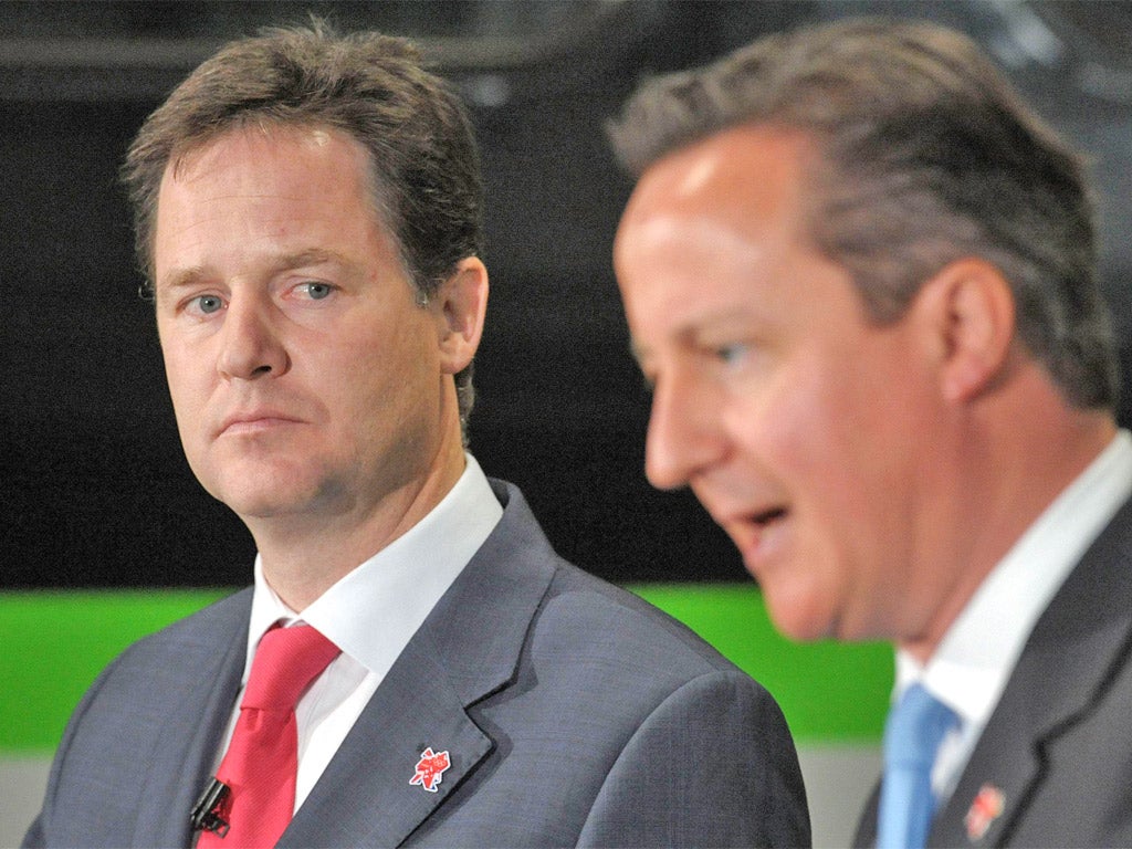 Lapel politics: Nick Clegg and David Cameron this week