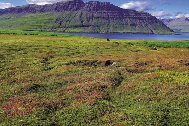 Fjord focus: Iceland's dramatic east coast