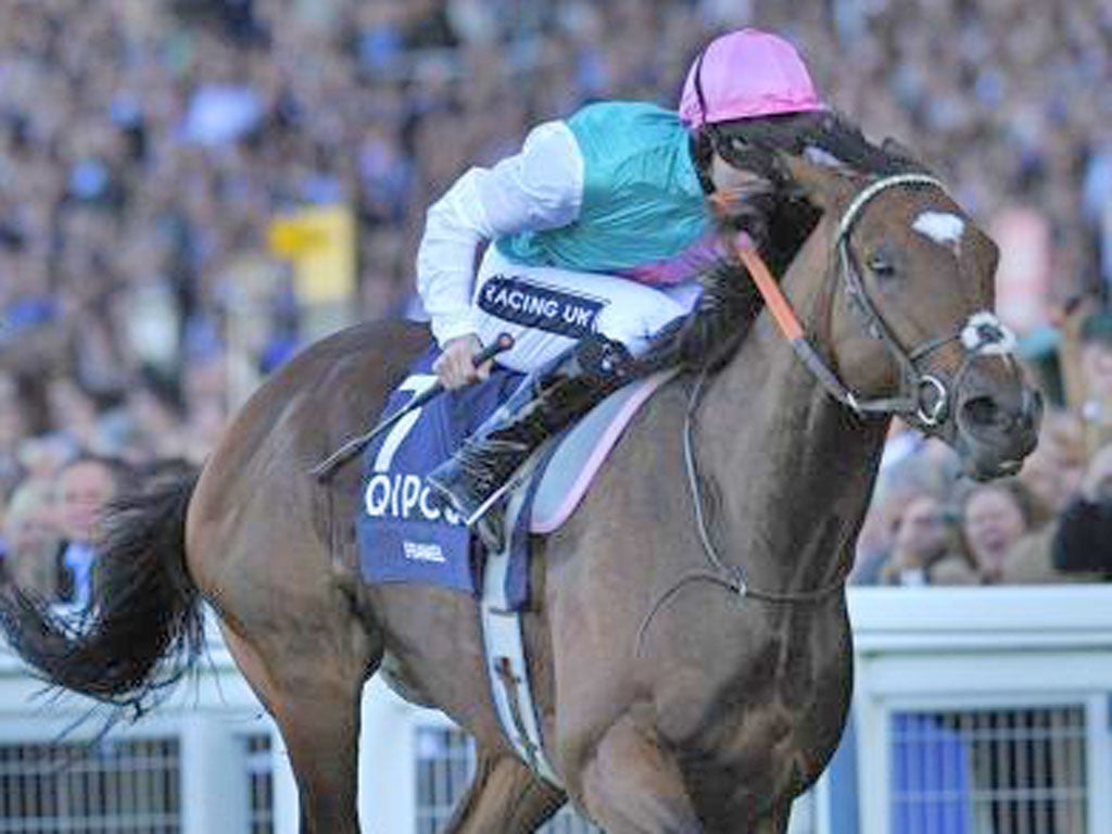 Frankel’s QEII win set the seal on the first Champions Day last year