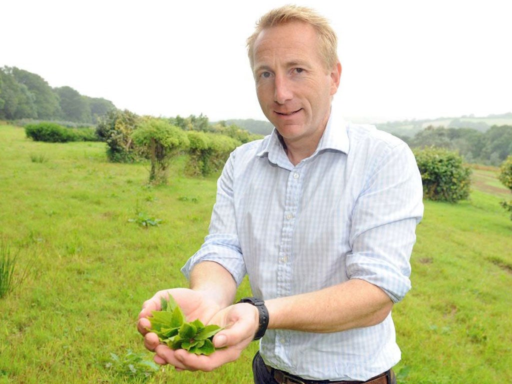 “Wouldn’t it be fun for Britons to organise themselves quickly
enough to beat Starbucks to a chain of tea houses,” says tea grower Jonathan Jones (pictured)