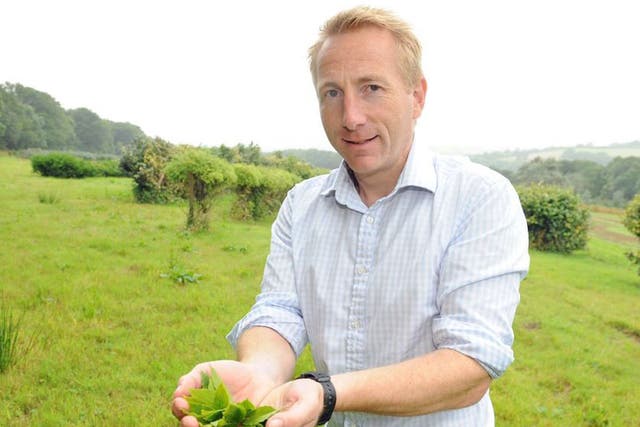 “Wouldn’t it be fun for Britons to organise themselves quickly
enough to beat Starbucks to a chain of tea houses,” says tea grower Jonathan Jones (pictured)