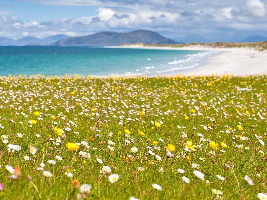 The machair's flowers and beaches make it a place of beauty