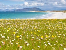 REDIRECT Nature Studies by Michael McCarthy: A Western Isles idyll