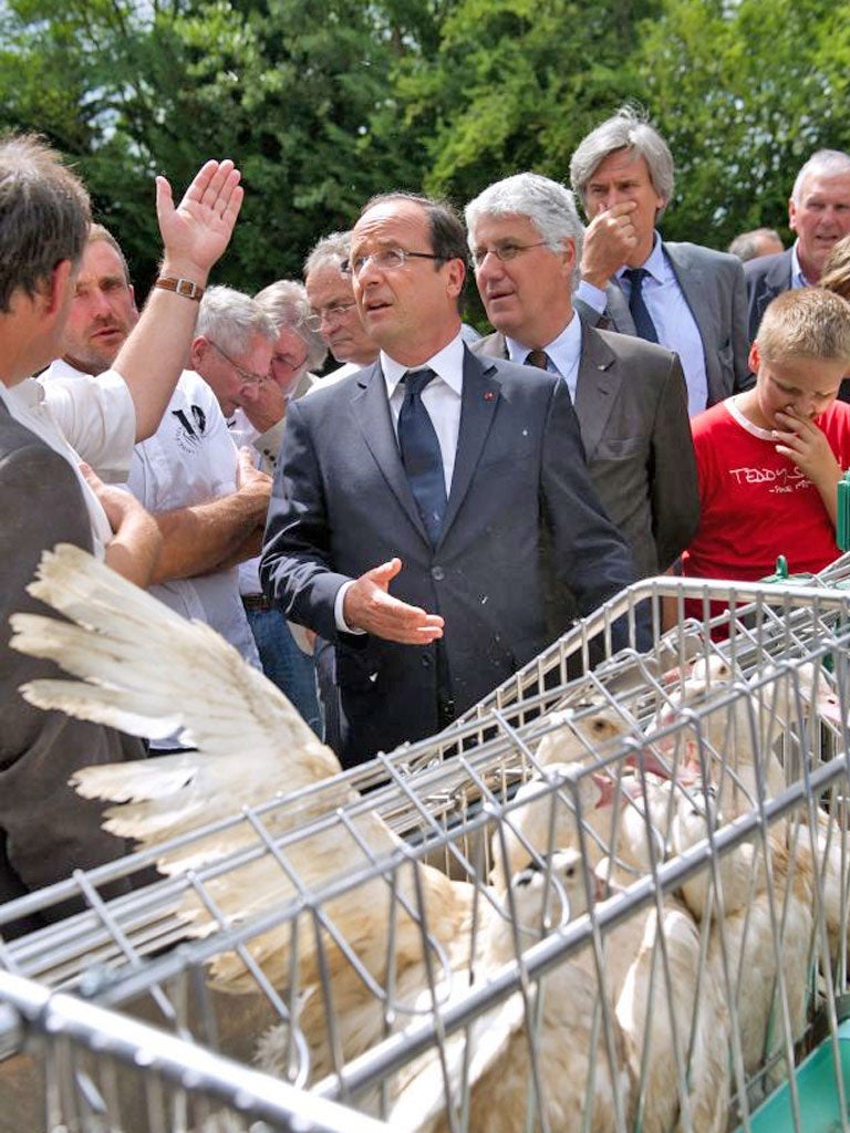 François Hollande listens to the concerns of foie gras producers
at a farm in Monlezun