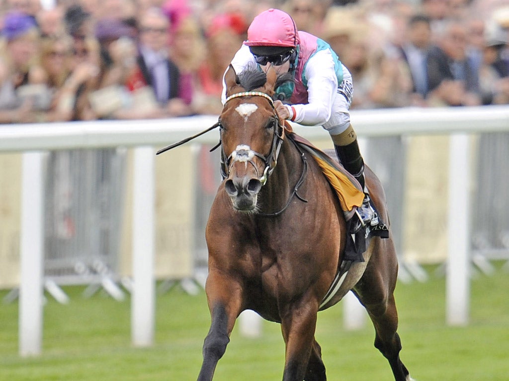 Frankel has won all 11 of his races