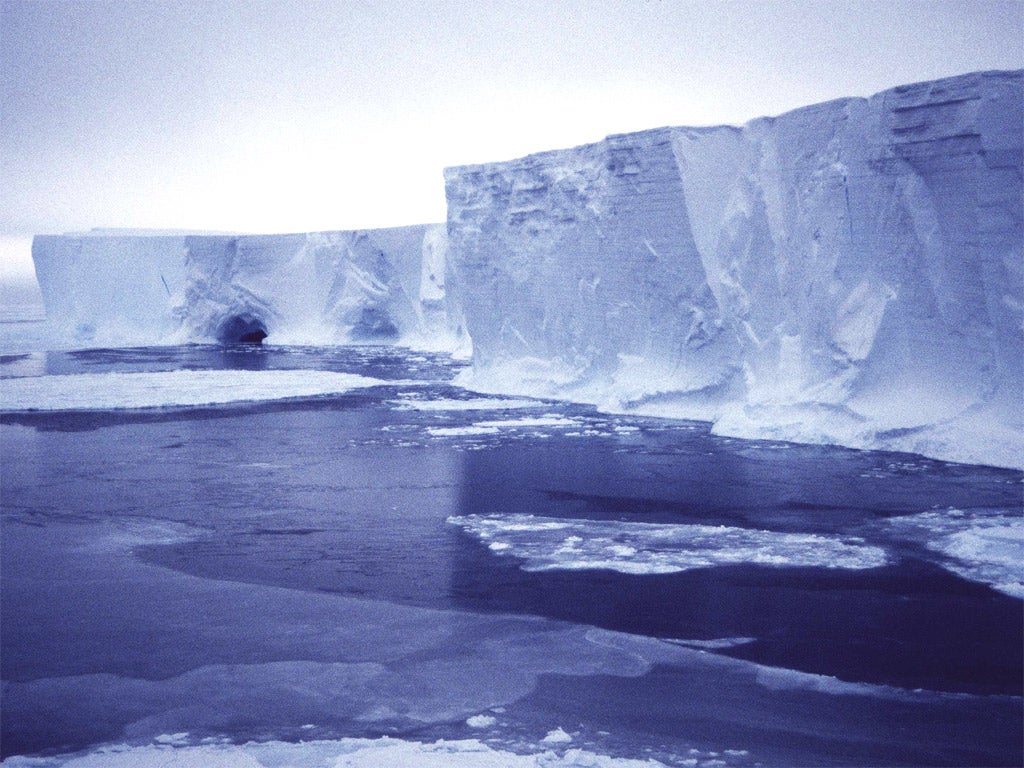 Researchers say the Antarctic had balmy 20C summers and frost-free winters in the Eocene