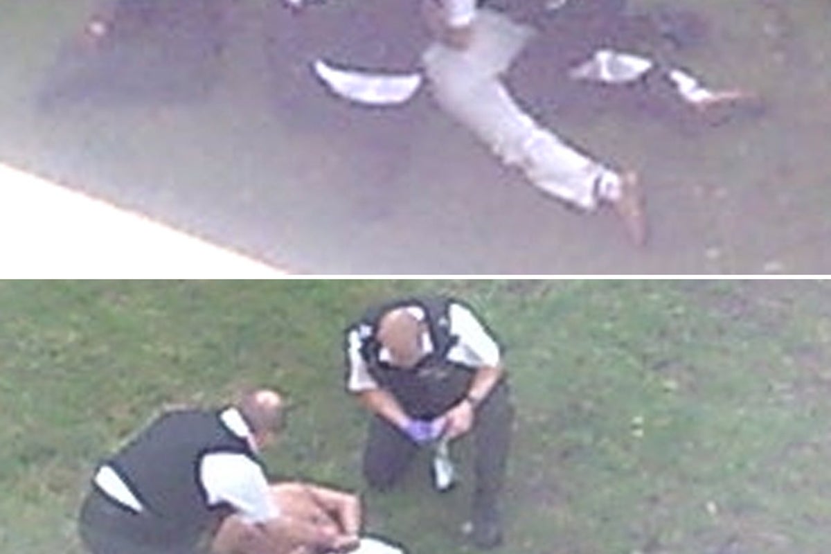 Police used 'unsuitable force' on mentally ill man Sean Rigg who died ...