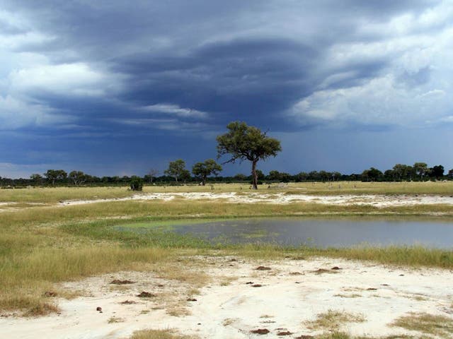 Dramatic storm clouds at the end of the rainy season in Hwange National Park