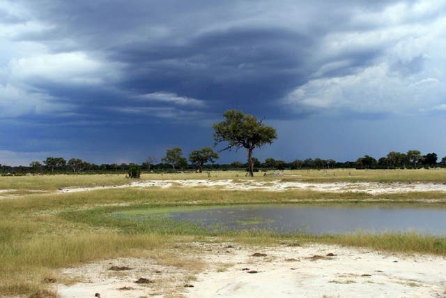 Dramatic storm clouds at the end of the rainy season in Hwange National Park
