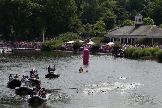 Swimmers compete in the 10km marathon at Hyde Park