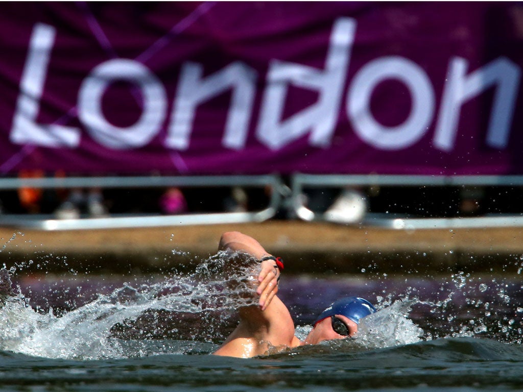 Daniel Fogg while competing in the men's 10k open water race