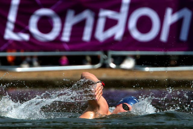 Daniel Fogg while competing in the men's 10k open water race