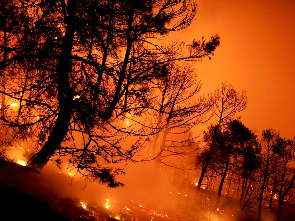 The fires have scorched about 10 per cent of the island of La Gomera