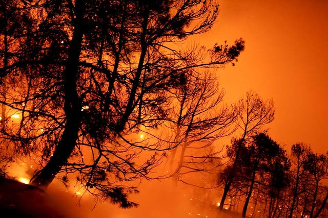 The fires have scorched about 10 per cent of the island of La Gomera