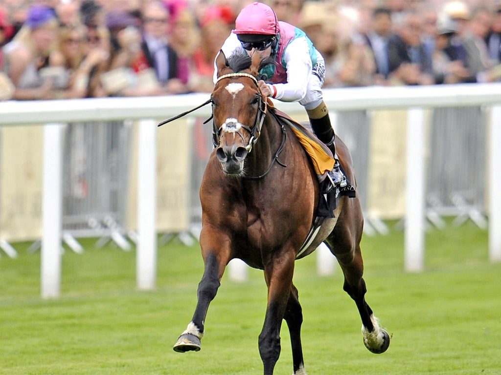 Frankel pictured on his way to winning The Queen Anne Stakes at Royal Ascot in June