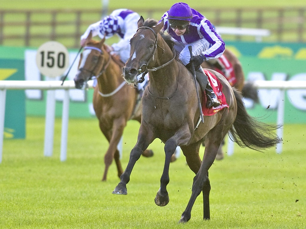 Camelot will tune up at Leopardsown for his Triple Crown attempt