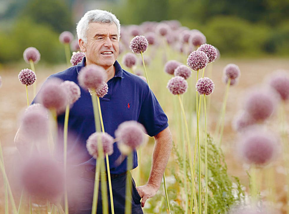 Colin Boswell on his garlic farm in the Isle of Wight