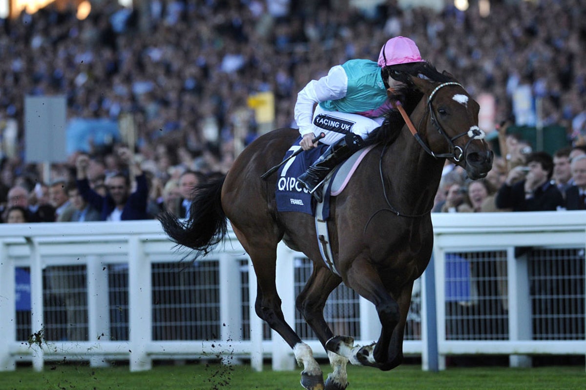 Breeder plans for the next Frankel | The Independent | The Independent