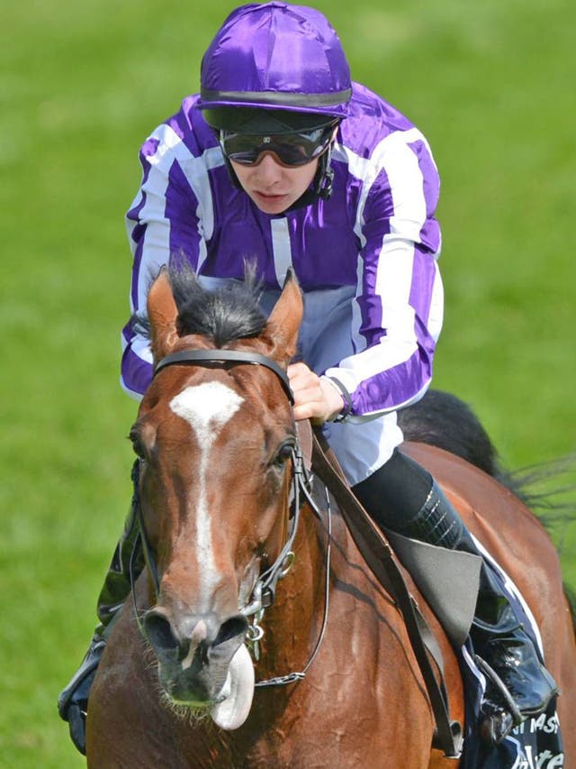 St Nicholas Abbey has the stamina to test Frankel
