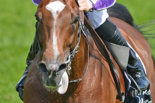 St Nicholas Abbey has the stamina to test Frankel
