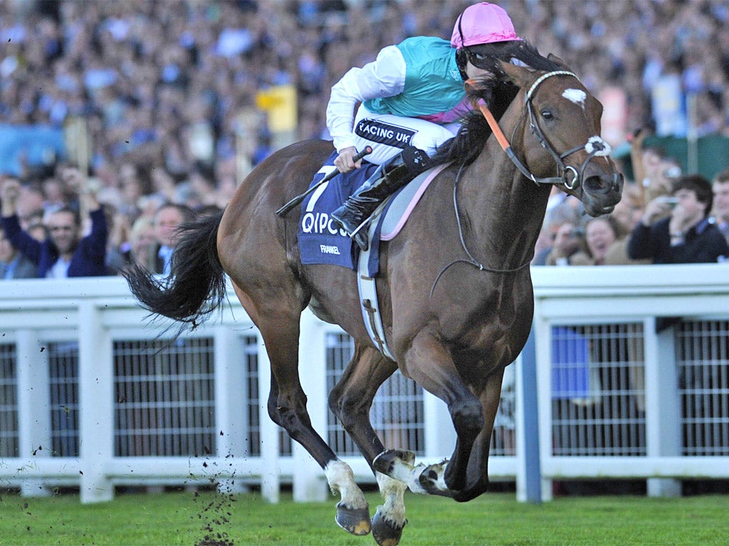 Staying power: Tom Queally on Frankel