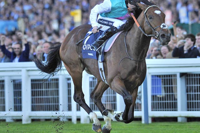 Staying power: Tom Queally on Frankel