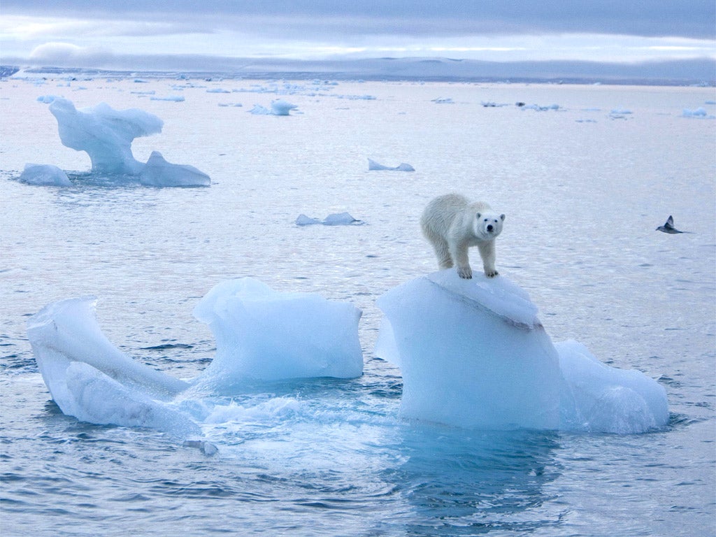 Arctic ice melting to a record low, scientists warn | The Independent