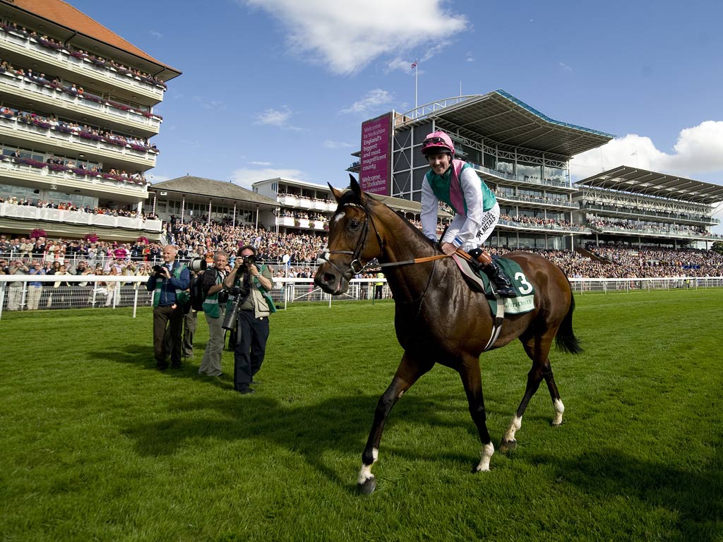 Tom Queally smiles after riding Frankel to victory in The Juddmonte International Stakes at York