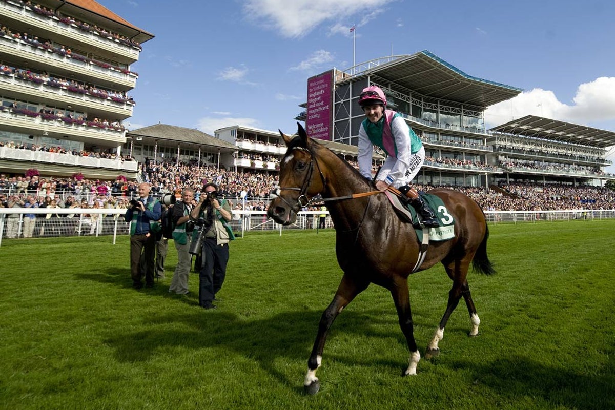 Frankel stretches winning record to 13 races in York | The Independent ...