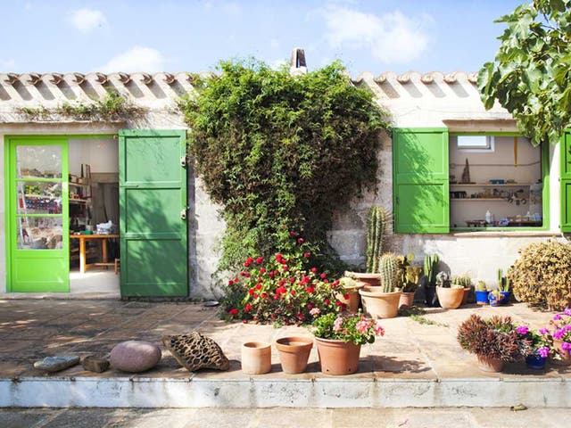 Plant life: The green doors and window frames of Anoro's house reflect the exuberant lushness of the surrounding flora