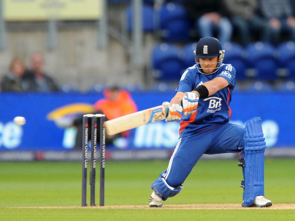 Ian Bell hits out during his all-too-brief cameo yesterday