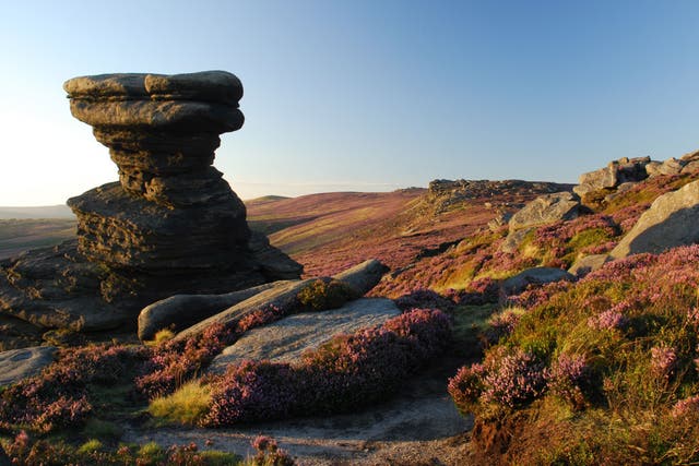 Peak of perfection: Derbyshire offers excellent walking
