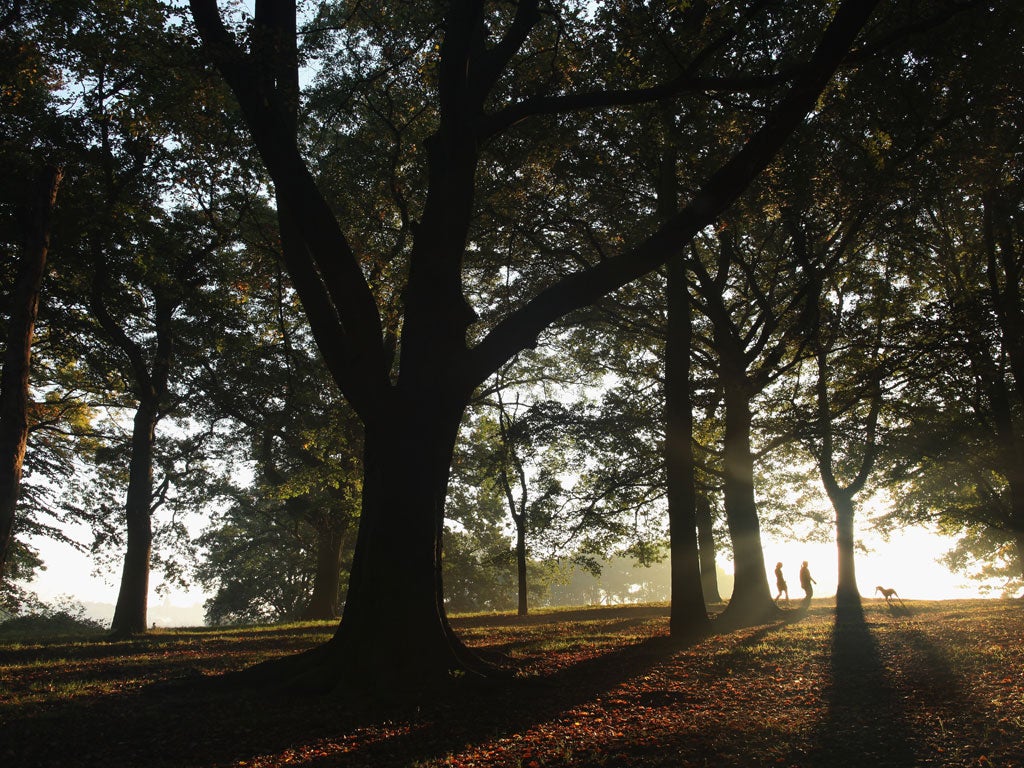 Morning glory: September brings golden dawns