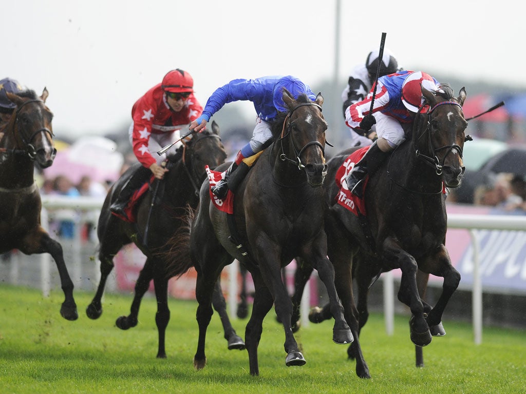 At last: Frankie Dettori (in blue) drives Willing Foe to win the Ebor Handicap for the first time after 25 years of trying