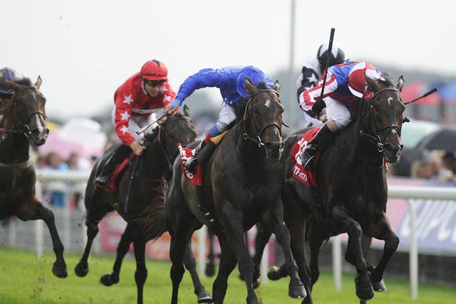 At last: Frankie Dettori (in blue) drives Willing Foe to win the Ebor Handicap for the first time after 25 years of trying