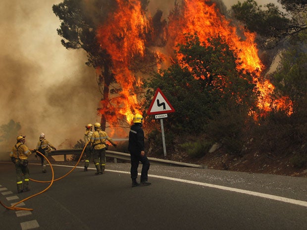 Firefighters try to extinguish a fire in forest on the road between Marbella and Monda in Ojen