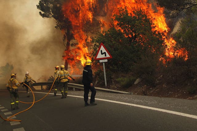 Firefighters try to extinguish a fire in forest on the road between Marbella and Monda in Ojen
