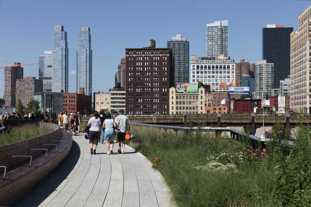 City break: Wild flowers grow alongside the High Line, which runs through Manhattan's West Side