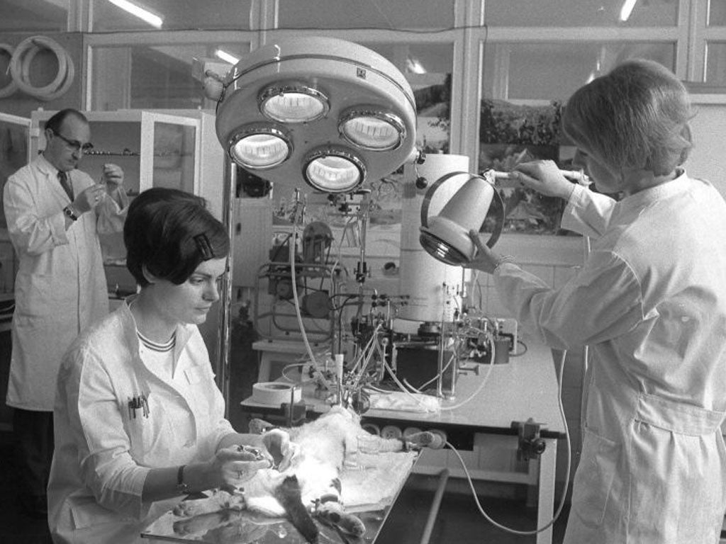 Drug tests: An animal experiment at the Grünenthal laboratories in
the 1960s