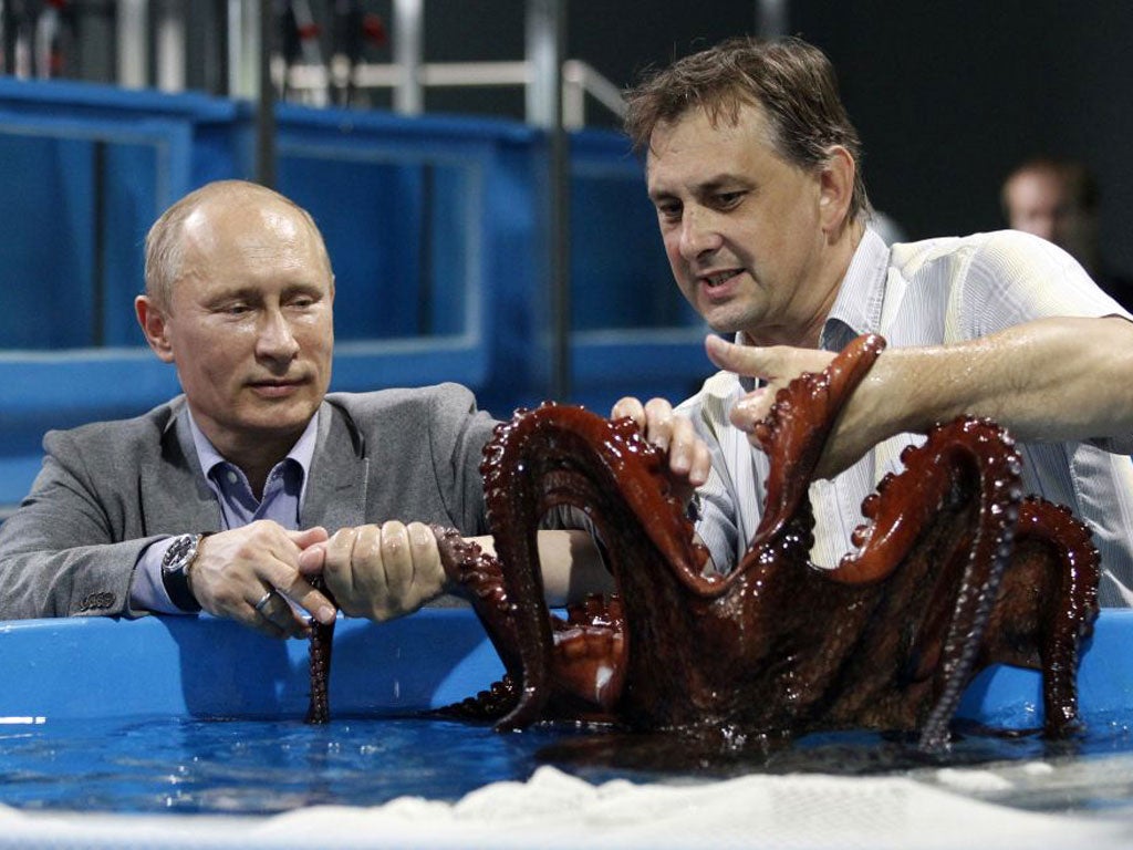 Vladimir Putin caresses an octopus at an oceanarium 