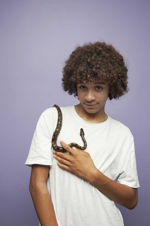 Connor Sullivan, 16, and his snake Bob. He says: 'I've always liked animals; it started when my friend had a turtle and he took me to a pet shop in Camden with loads of exotic creatures. I bought my first female gecko, then I started collecting from there.'