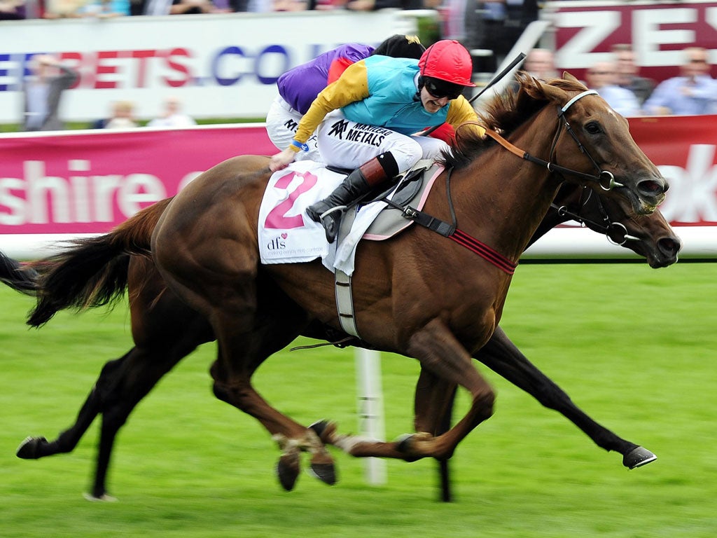 Tom Queally pushes out Sir Henry Cecil's late-blooming filly Wild Coco to win yesterday's Park Hill Stakes