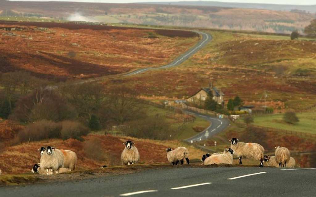 Big country: Take the scenic route on the Yorkshire moors