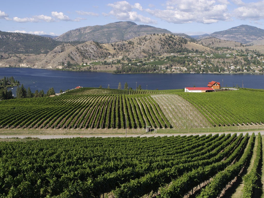 Okanagan Valley