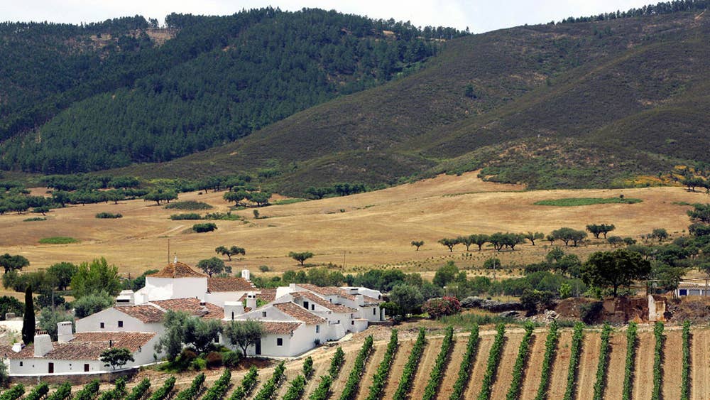 Scarica Gratis Images Portugal Where The Algarve May As Well Be Another Country The dernière salutations