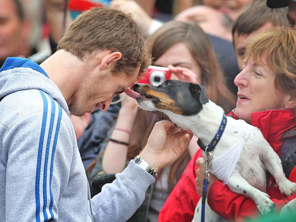Six days after becoming Britain’s first tennis Grand Slam champion for 76 years, Andy Murray was back in his home city of Dunblane where 15,000 people – and at least one dog – gave him a rapturous reception