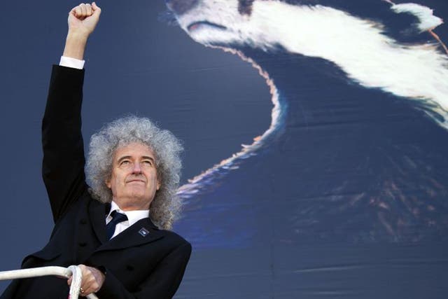 Brian May gestures as he stands on a cherry picker to launch the national Team Badger campaign