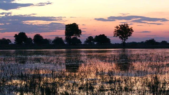 The Okavango Delta in Botswana; a canoe trip is the ideal way to see it